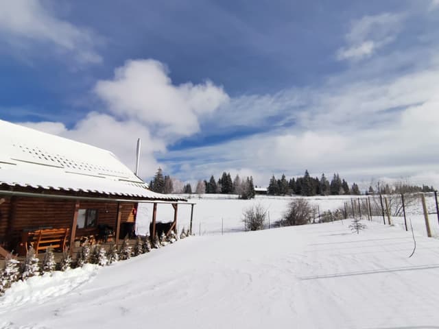 image-item