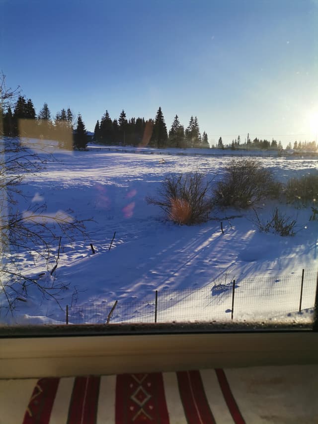image-item