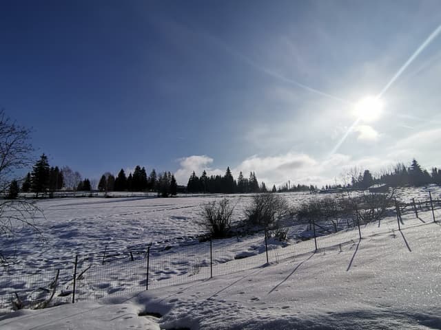 image-item